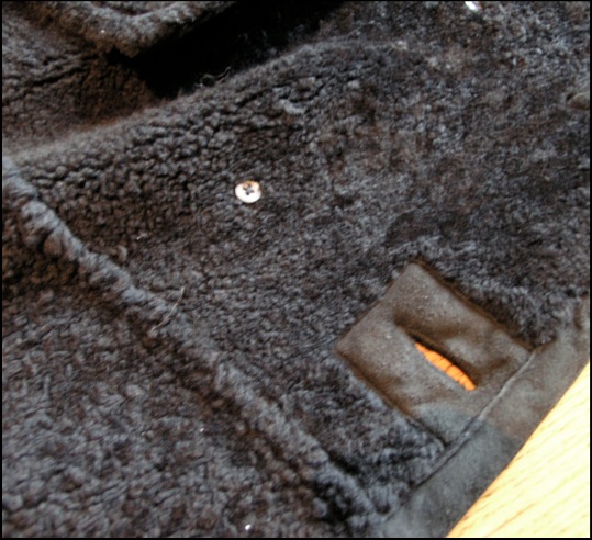 coat interior 5